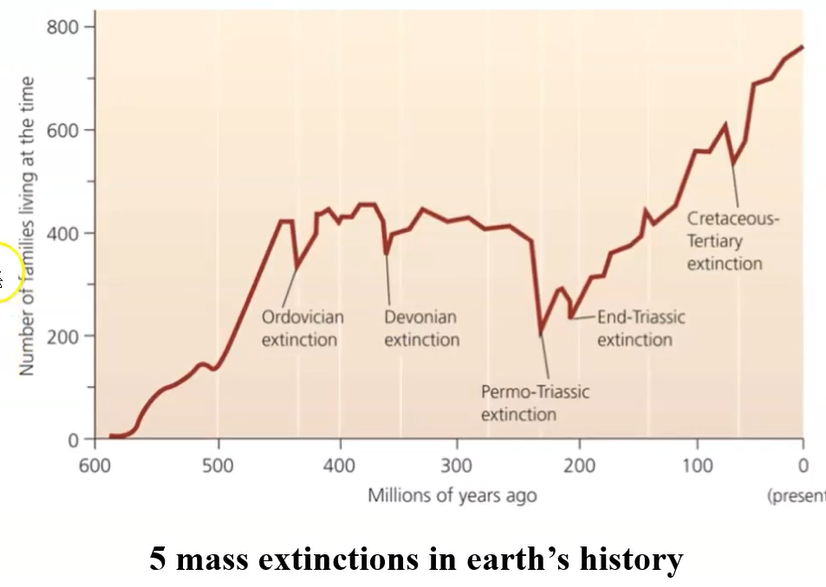 0422_speciation_extinction.png